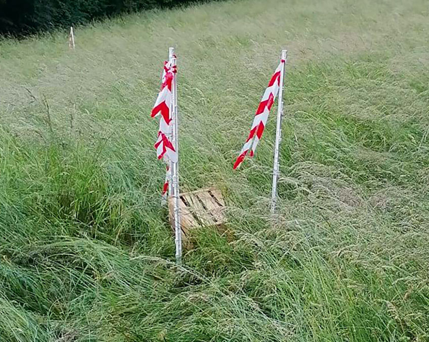 Jagdgesellschaft